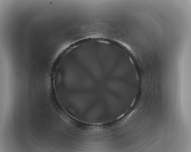 X0000112201263200908071427