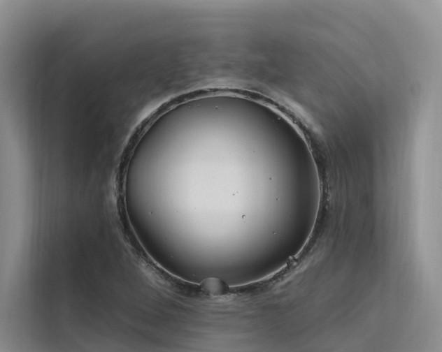 X0000112201264200908071427