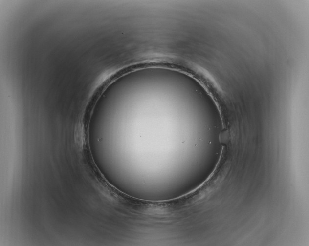 X0000112201267200908071427