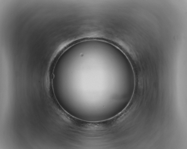 X0000112201270200908071427