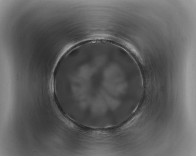X0000112201275200908071427