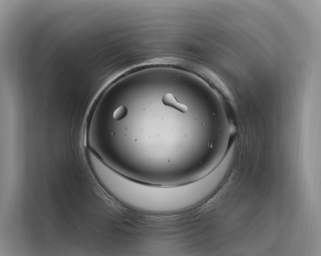 X0000112201276200908071427