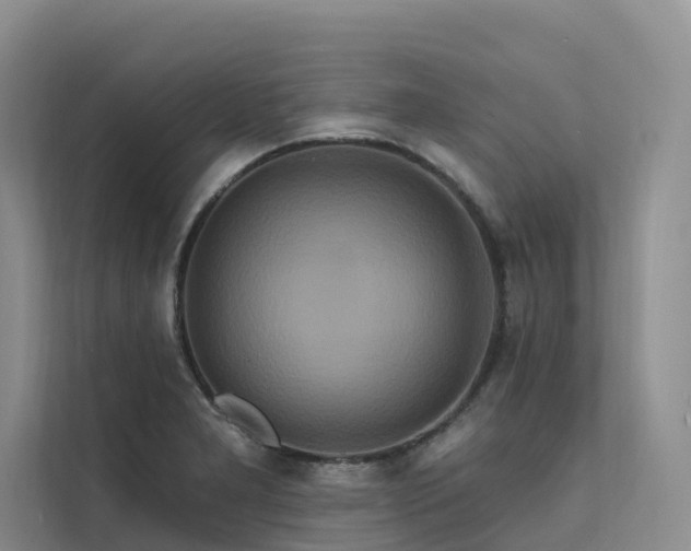 X0000112201277200908071427
