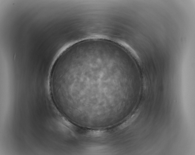 X0000112201278200908071427