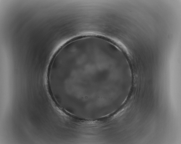 X0000112201279200908071427