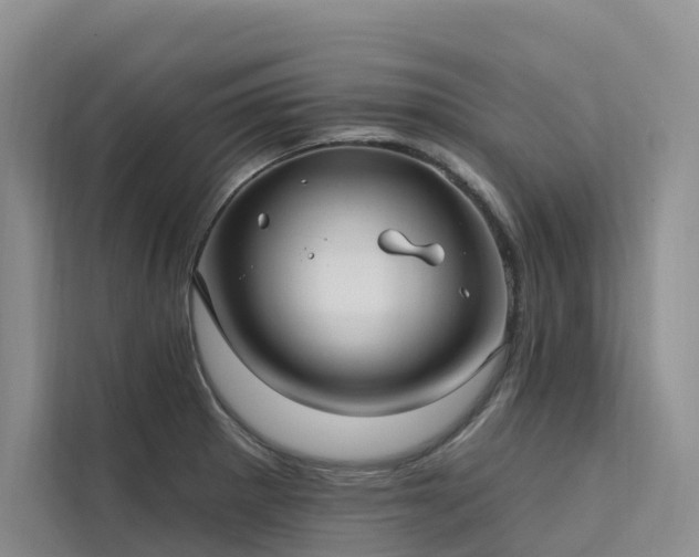 X0000112201281200908071426