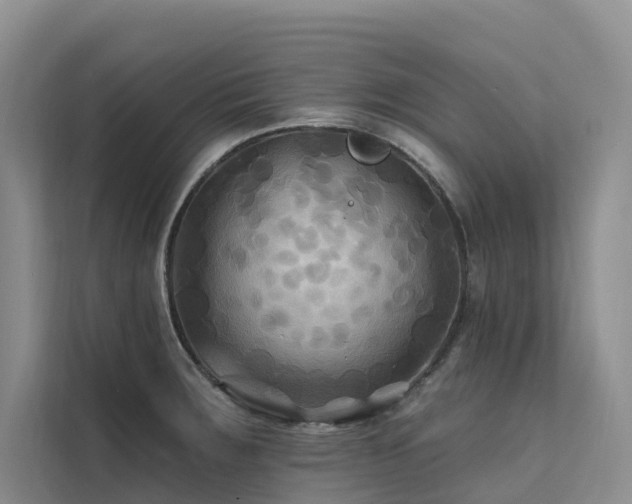 X0000112201283200908071426