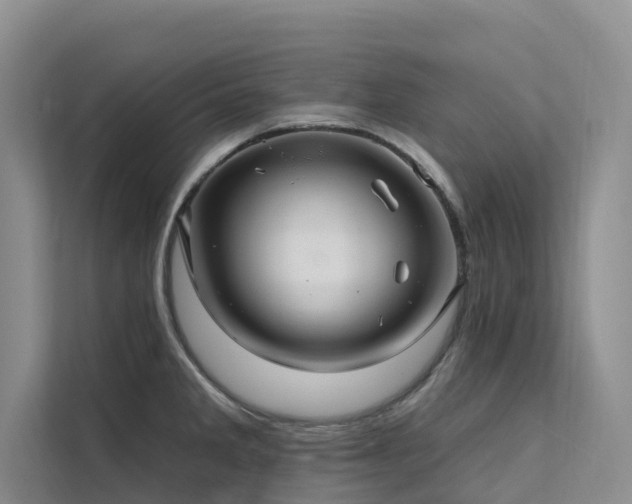 X0000112201285200908071426