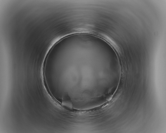 X0000112201291200908071426