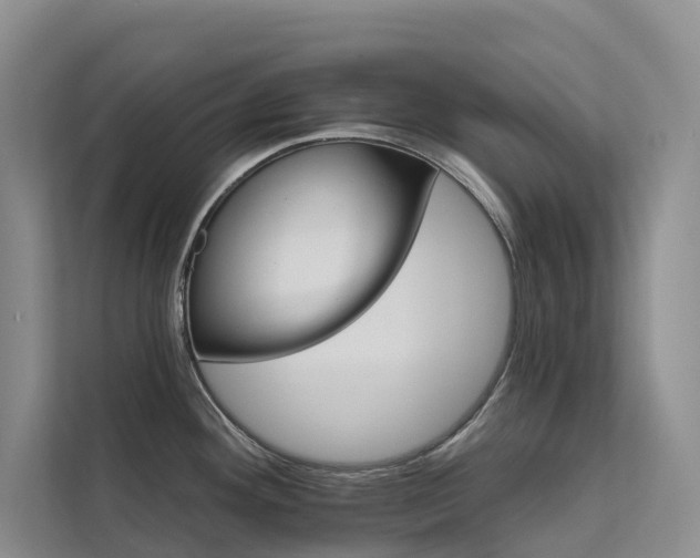 X0000112201292200908071426