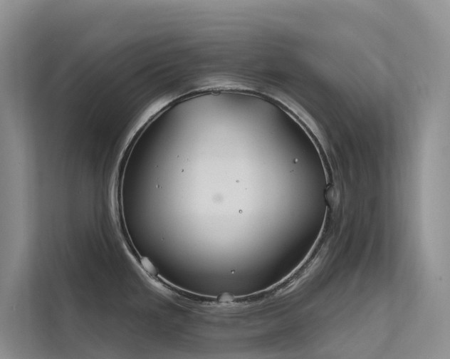 X0000112201293200908071426