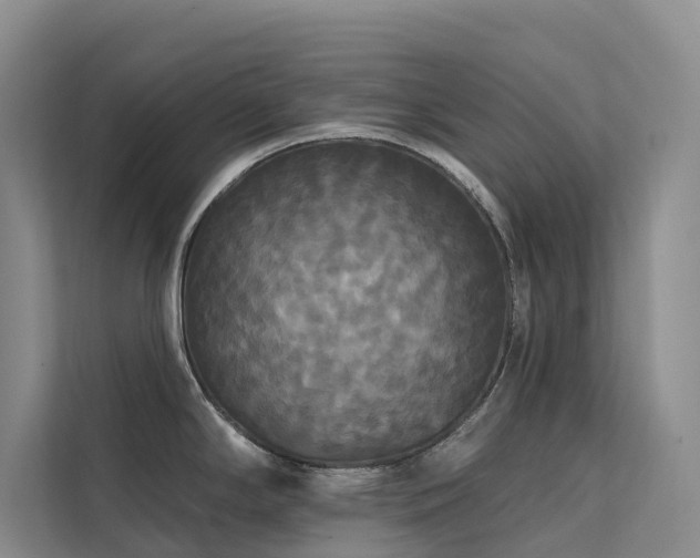 X0000112201294200908071426