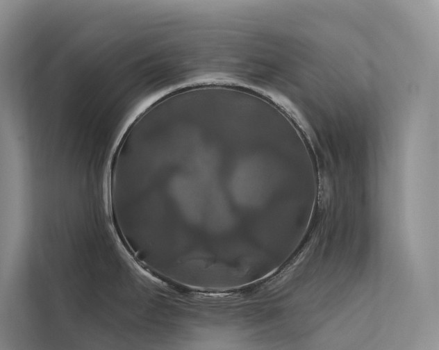 X0000112201295200908071426