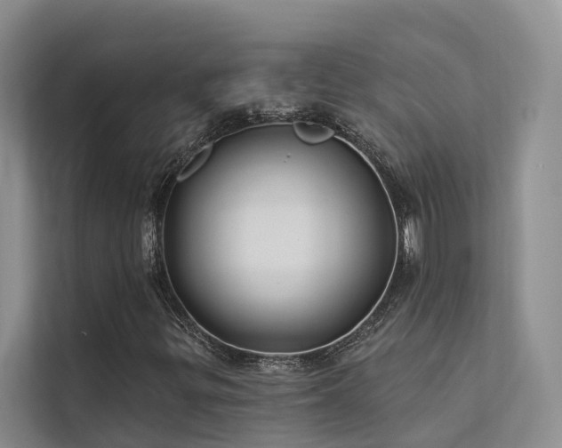 X0000112201299200908071426