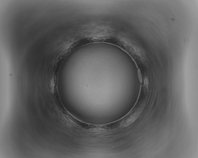 X0000112201300200908071426