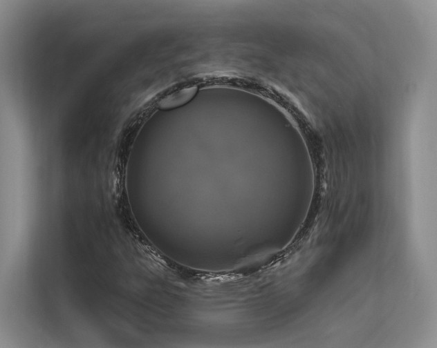 X0000112201303200908071426