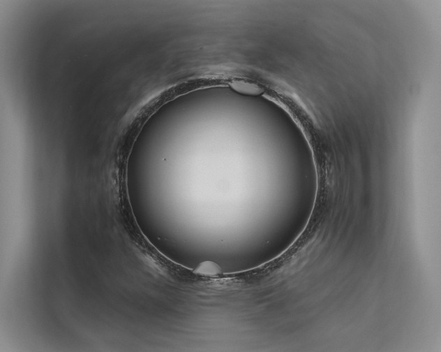 X0000112201304200908071426
