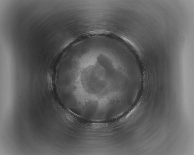 X0000112201305200908071426