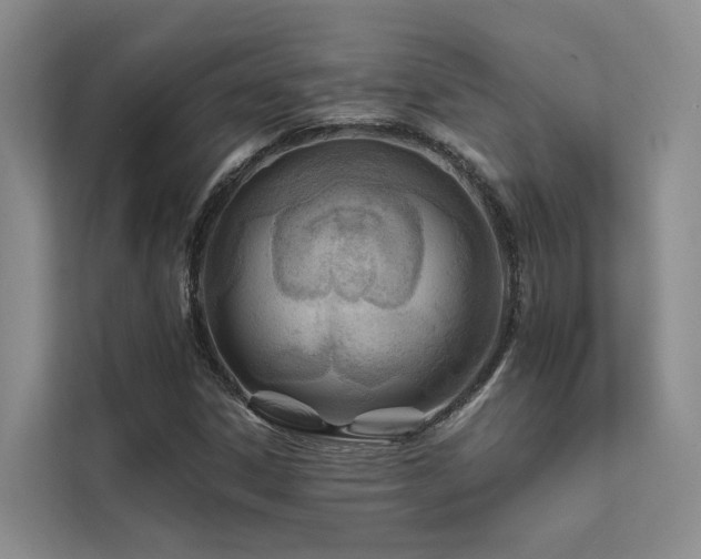 X0000112201306200908071426