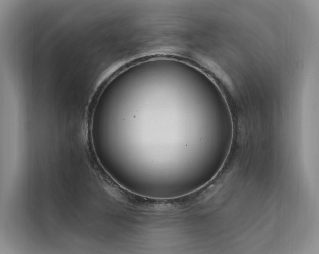 X0000112201316200908071426
