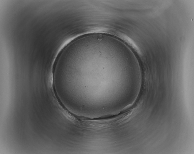 X0000112201324200908071426