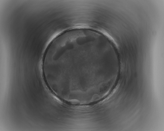 X0000112201325200908071426