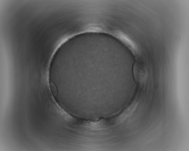 X0000112201326200908071426