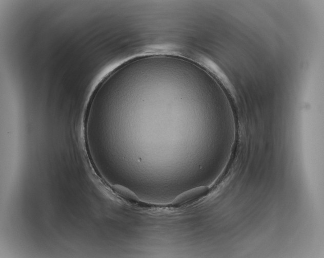 X0000112201336200908071426