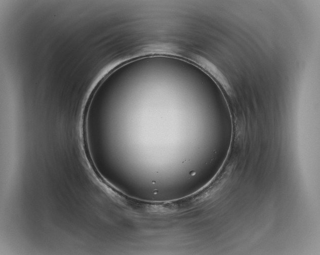 X0000112201339200908071426