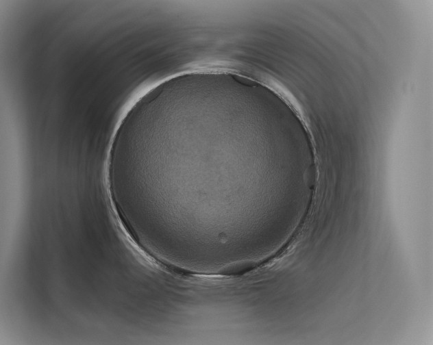 X0000112201344200908071426