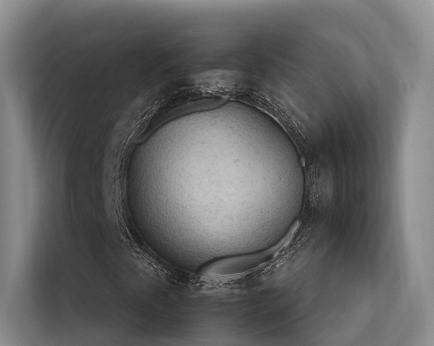 X0000112201345200908071426