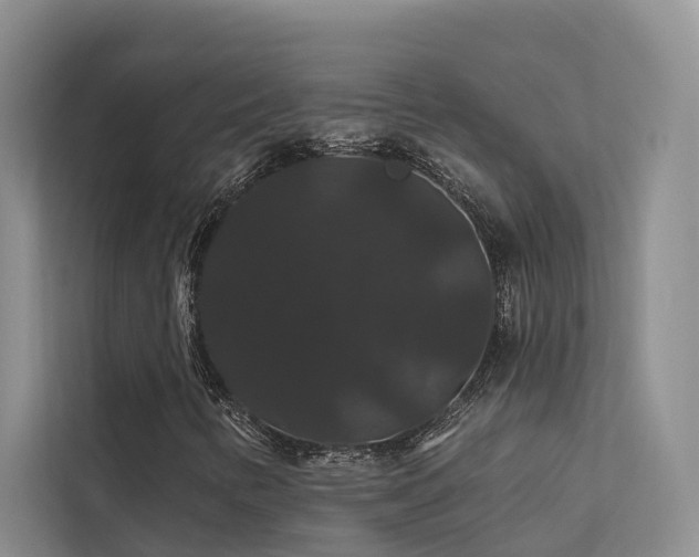 X0000112201346200908071426