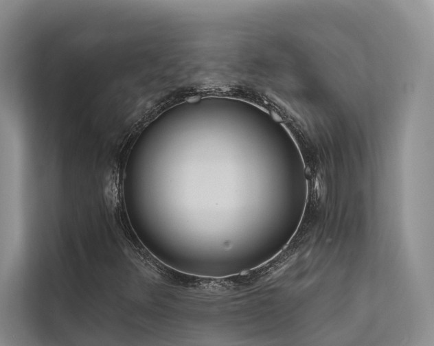 X0000112201348200908071426