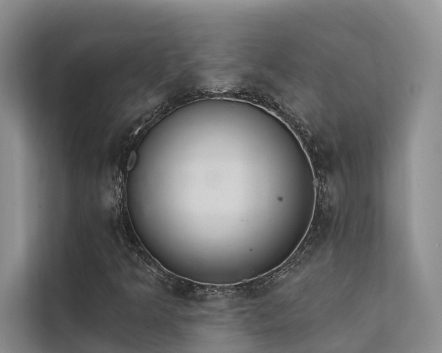 X0000112201349200908071426