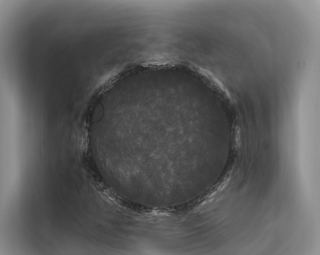X0000112201350200908071426