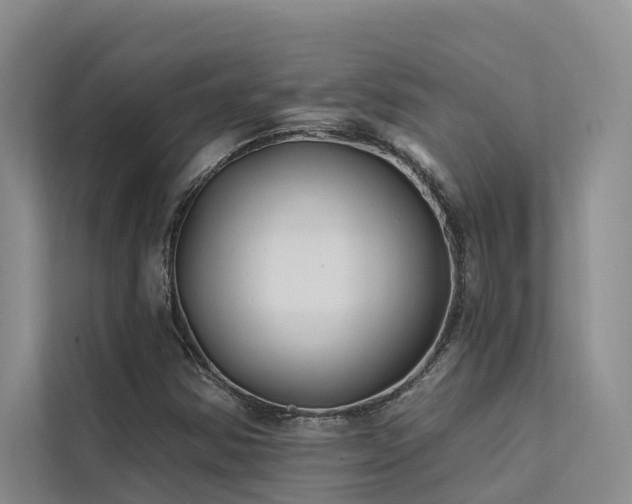 X0000112201354200908071426