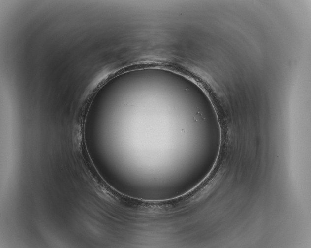 X0000112201355200908071426