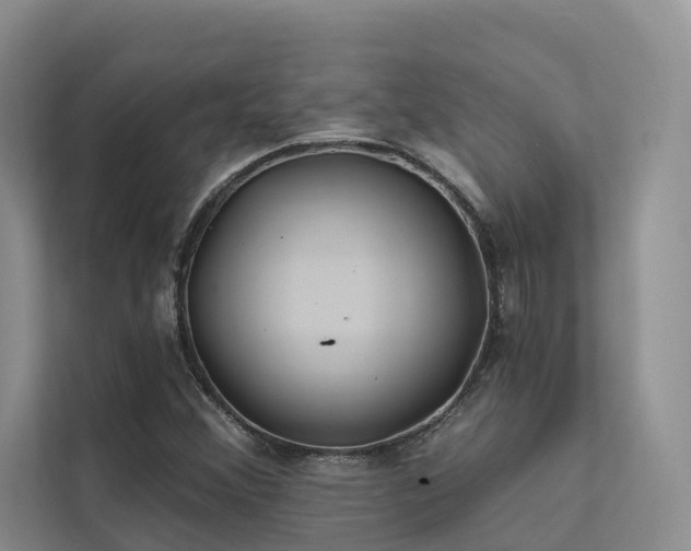 X0000112201356200908071426