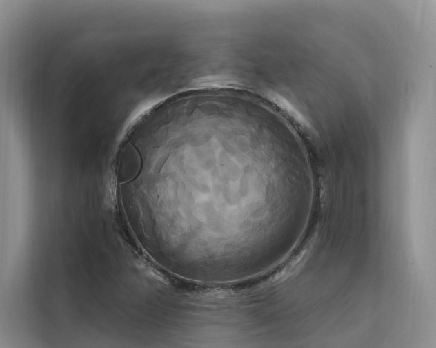 X0000112201358200908071425