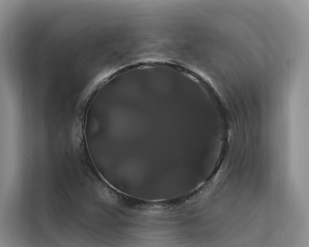 X0000112201359200908071425