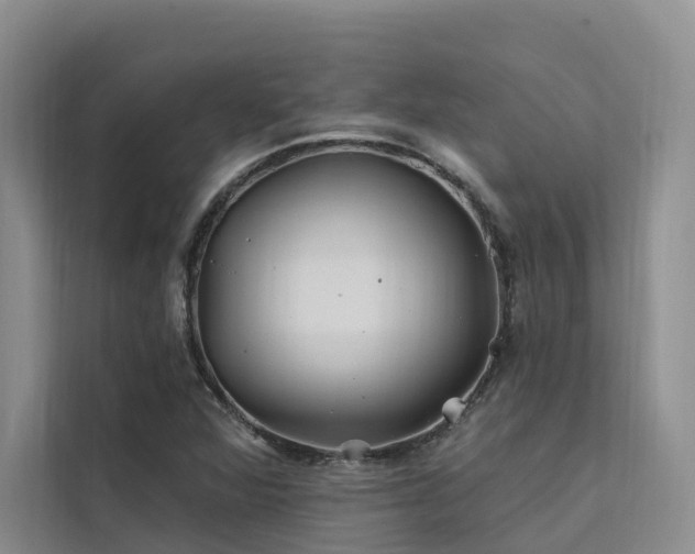 X0000112201360200908071425