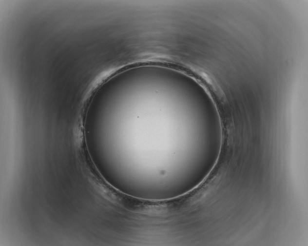 X0000112201363200908071425