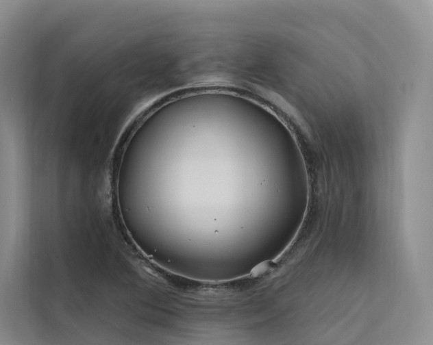 X0000112201364200908071425