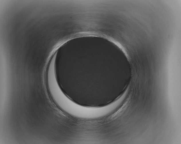 X0000112201365200908071425