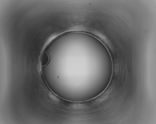 X0000112201366200908071425
