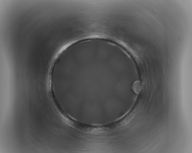 X0000112201367200908071425
