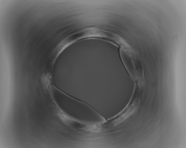 X0000112201369200908071425
