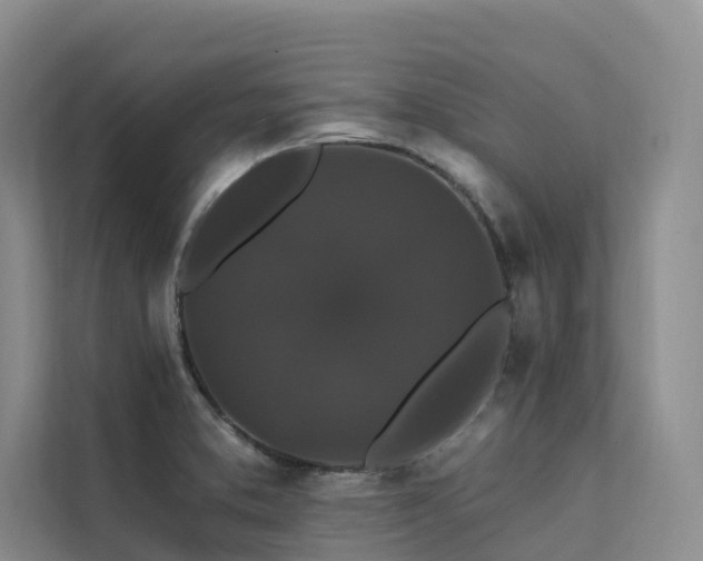 X0000112201373200908071425