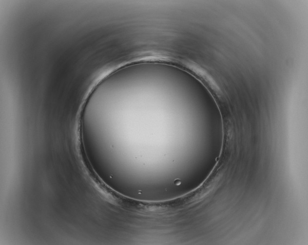 X0000112201375200908071425