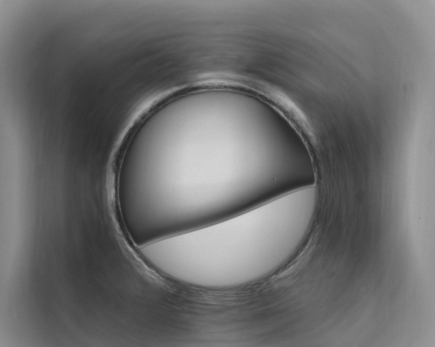 X0000112201376200908071425